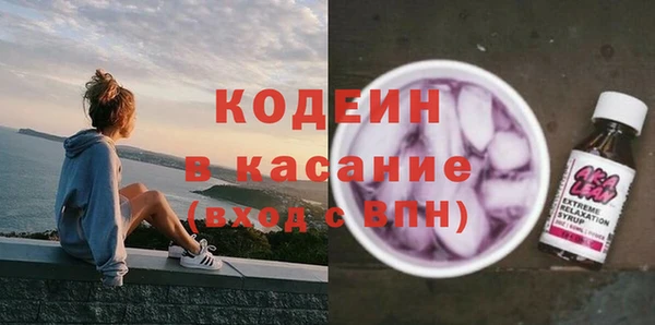 хмурый Алзамай