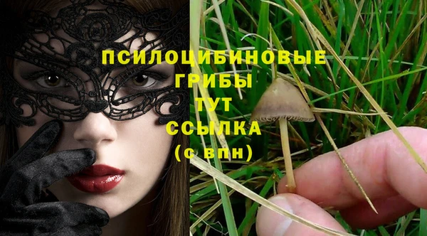 прущие крисы Алексин