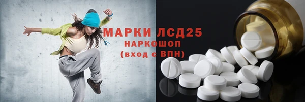 хмурый Алзамай