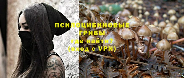 прущие крисы Алексин