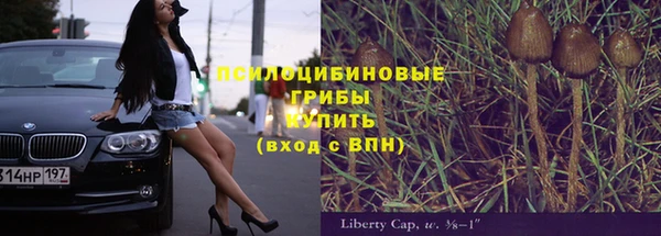 хмурый Алзамай