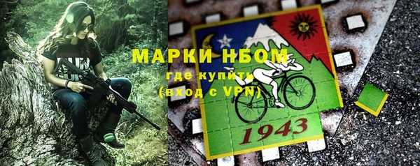 хмурый Алзамай