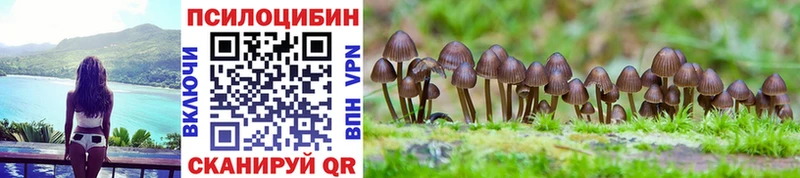 Псилоцибиновые грибы мицелий  как найти   Бикин 